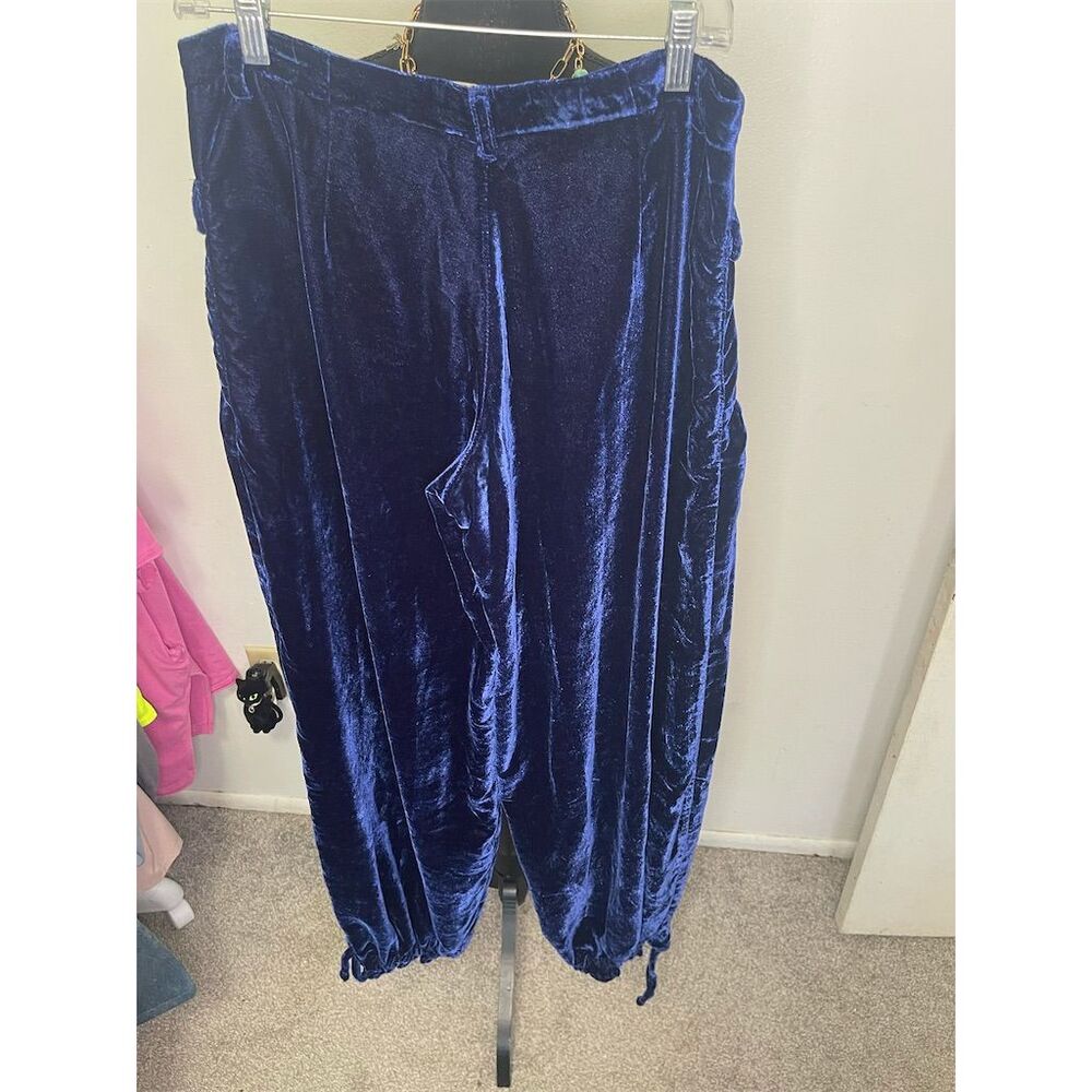 NWOT Free People We The Free Velvet Lotus Pants Size 28 $148 - Picture 4 of 8